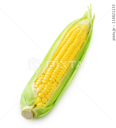 One raw corn cob isolated on white One raw corn cob isolated on white 118821133
