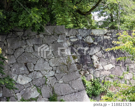 彦根城の石垣 118821325