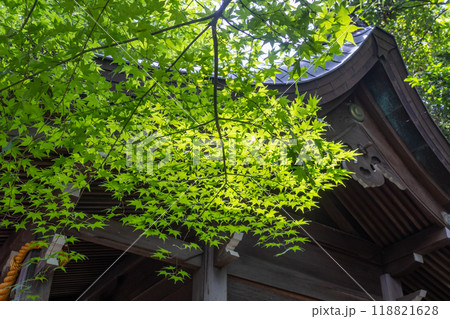 Small shrine, Kanazawa, Japan Small shrine, Kanazawa, Japan 118821628