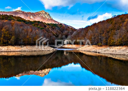 Colorful trees and leaves in autumn in the Montseny Natural Park in Barcelona, Spain Colorful trees and leaves in autumn in the Montseny Natural Park in Barcelona, Spain 118822364