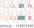 元素記号と元素名のトランプ2 118822490