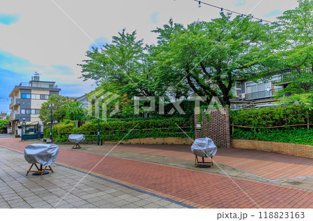 福島県　会津若松市　野口英世青春広場公園 118823163