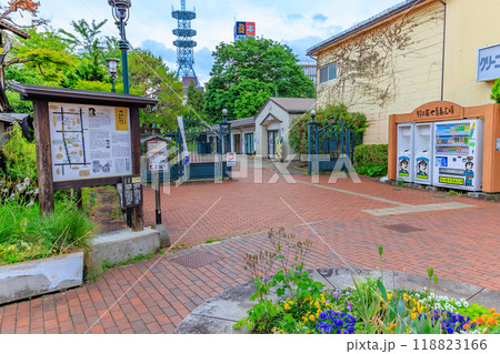 福島県　会津若松市　野口英世青春広場公園 118823166