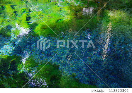 熊本県の白川水源 熊本県の白川水源 118823303