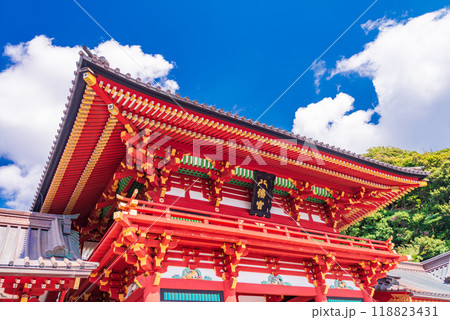 【神奈川県】鶴岡八幡宮（つるがおかはちまんぐう） 118823431