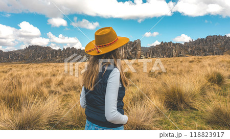 A person is standing in a field of tall grass next to a large rock formation, traveling through the peruvian andes 118823917