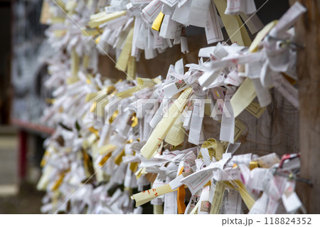 青井阿蘇神社境内のおみくじ 118824352