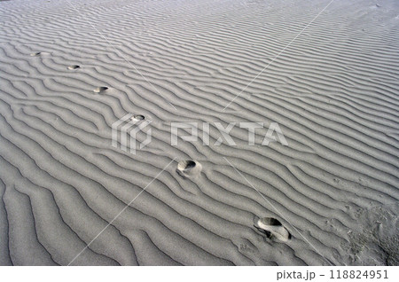 広大な砂浜が広がっている太平洋。波がどこからか石を運んでくる。波に洗われ陽の光を浴びて輝いていた。 118824951