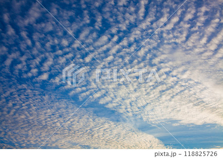 夕日に染まるうろこ雲 夕日に染まるうろこ雲 118825726