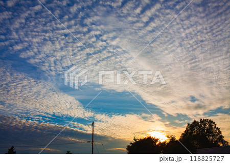 夕日に照らされて輝く雲 118825727