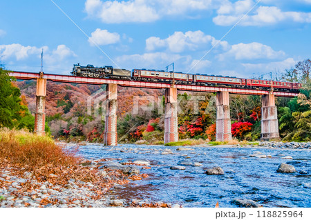埼玉 秩父鉄道　～紅葉の荒川橋梁を渡るSLパレオエクスプレス～ 118825964
