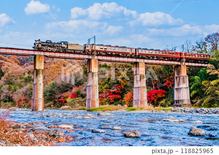 埼玉 秩父鉄道　～紅葉の荒川橋梁を渡るSLパレオエクスプレス～ 118825965