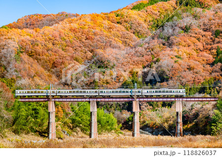埼玉 秩父鉄道 ~紅葉の荒川橋梁を渡る西武鉄道4000系電車~ 埼玉 秩父鉄道 ~紅葉の荒川橋梁を渡る西武鉄道4000系電車~ 118826037