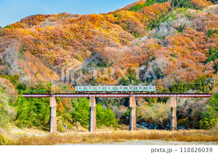 埼玉 秩父鉄道　～紅葉の荒川橋梁を渡る7800系電車～ 118826039