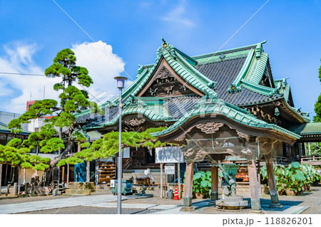 東京 柴又帝釈天　帝釈堂 118826201