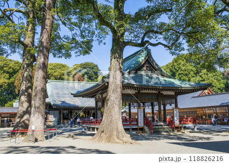 埼玉県　さいたま市　武蔵一宮氷川神社　舞殿と拝殿 118826216