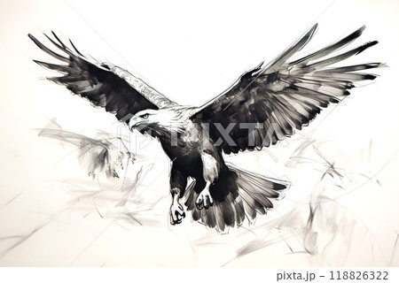 Dynamic charcoal sketch of an eagle in mid-flight with wings spread wide, capturing movement and power. Perfect for wildlife, nature, and art concepts. Birds painting. 118826322