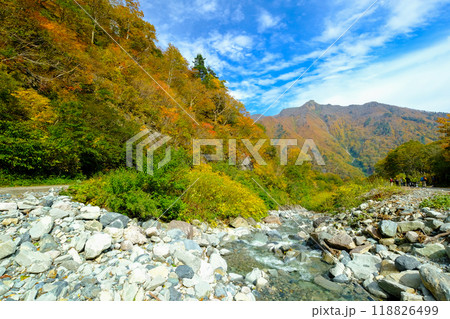 秋の一ノ倉沢から白毛門 秋の一ノ倉沢から白毛門 118826499