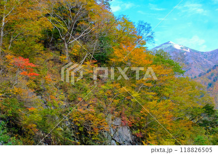 紅葉と笠ヶ岳 紅葉と笠ヶ岳 118826505