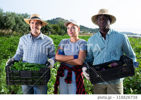 Cheerful farmers standing in field with harvested peppers and eggplants Cheerful farmers standing in field with harvested peppers and eggplants 118826738