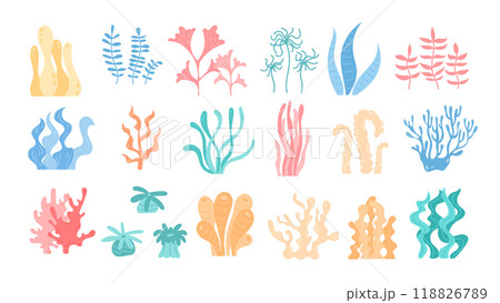 Balanced set of vector aquatic elements including different types of seaweed and coral. Depicts underwater marine life, ideal for ocean reef and marine life environment. Balanced set of vector aquatic elements including different types of seaweed and coral. Depicts underwater marine life, ideal for ocean reef and marine life environment. 118826789