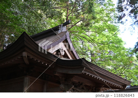 高千穂神社の境内の風景 高千穂神社の境内の風景 118826843