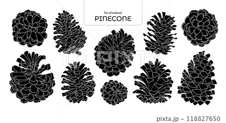 Set of isolated pinecones. Cute plants illustration in hand drawn style. Black silhouette on transparent background. 118827650