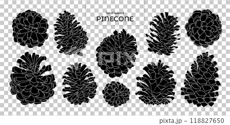 Set of isolated pinecones. Cute plants illustration in hand drawn style. Black silhouette on transparent background. 118827650