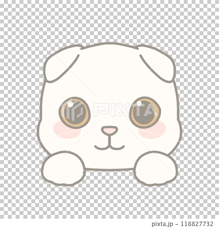Scottish Fold illustrations 118827732