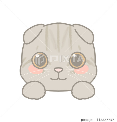 スコティッシュフォールドのイラスト 118827737
