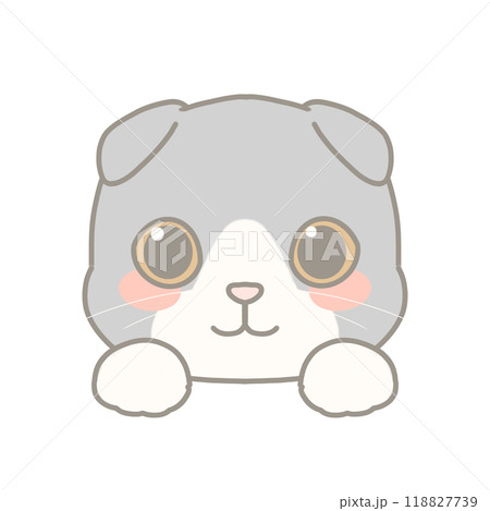 スコティッシュフォールドのイラスト 118827739