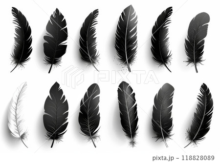 様々なスタイルの黒い羽 様々なスタイルの黒い羽 118828089