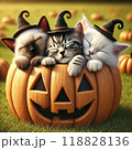 かぼちゃのバケツで眠る子猫たち 118828136
