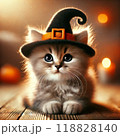 魔女の帽子を被せられた猫 118828140