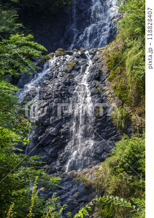 伊豆 旭滝 伊豆 旭滝 118828407