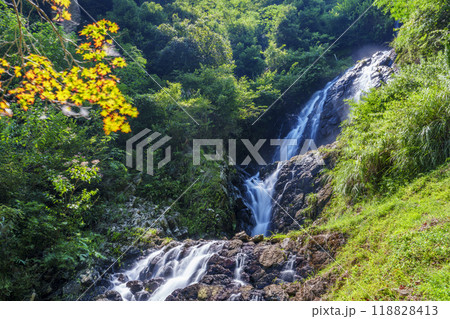 伊豆 旭滝 伊豆 旭滝 118828413