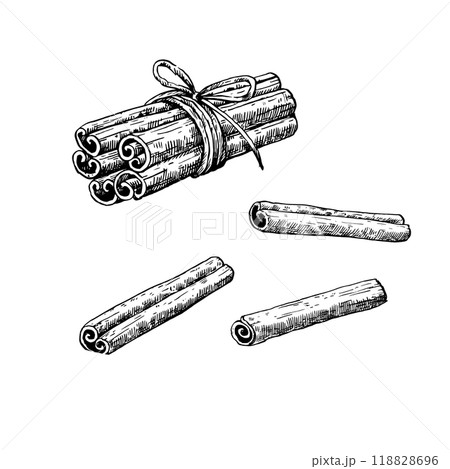 Cinnamon sticks isolated on white background. Hand-drawn illustration in black and white engraving style. Cinnamon sticks isolated on white background. Hand-drawn illustration in black and white engraving style. 118828696