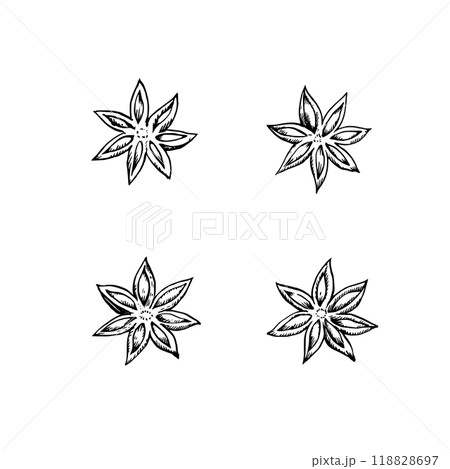Star anise seeds isolated on white background. Hand-drawn  illustration in black and white engraving style. 118828697