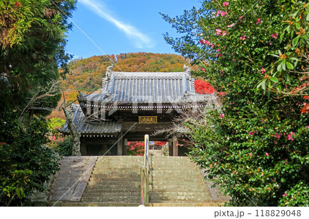 兵庫・西宮 神呪寺・仁王門と紅葉する甲山 118829048
