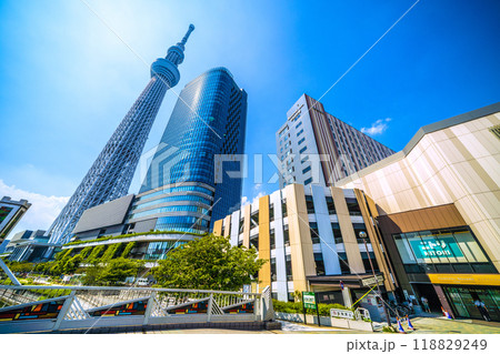 日本の東京都市景観 緑に映える東京スカイツリーやソラマチなどを望む＝9月6日 118829249