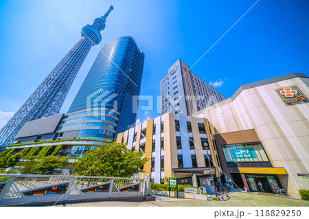 日本の東京都市景観 緑に映える東京スカイツリーやソラマチなどを望む＝9月6日 118829250