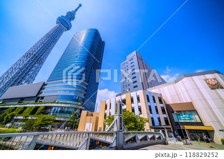 日本の東京都市景観 緑に映える東京スカイツリーやソラマチなどを望む=9月6日 日本の東京都市景観 緑に映える東京スカイツリーやソラマチなどを望む=9月6日 118829252