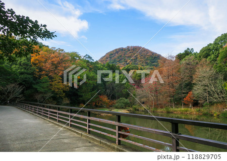 兵庫・甲山森林公園 みくるま池・甲山 118829705