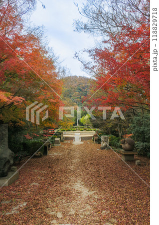 兵庫・甲山森林公園から望む甲山 118829718