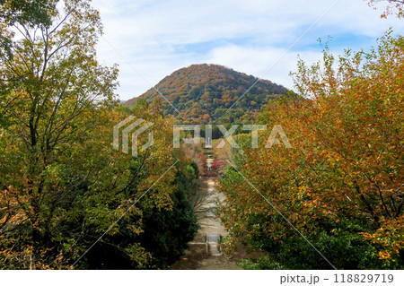 兵庫・甲山森林公園から望む甲山 兵庫・甲山森林公園から望む甲山 118829719