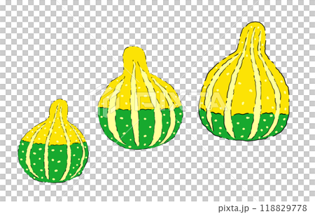 かぼちゃ おもちゃかぼちゃ イラスト かぼちゃ おもちゃかぼちゃ イラスト 118829778