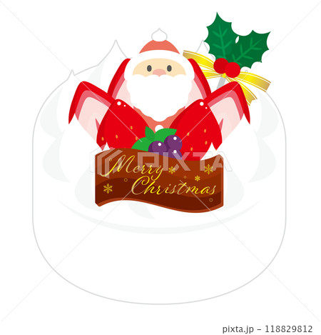 クリスマスケーキ 118829812