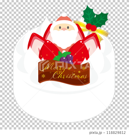 クリスマスケーキ 118829812
