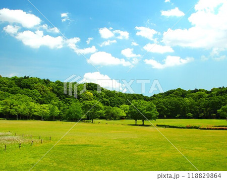 草原と森のある初夏の21世紀の森と広場風景 118829864