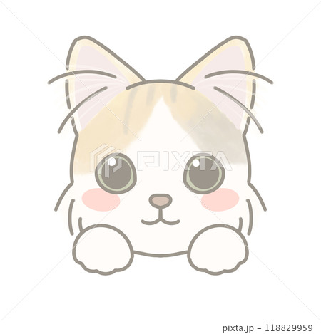 長毛種の猫　イラスト 118829959